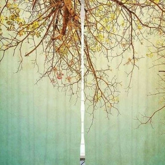 Other - Curtains Autumn Tree Branches Print Backdrop 27589